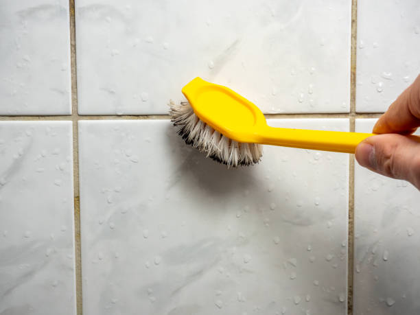 Best Emergency Mold Removal  in Farmville, NC