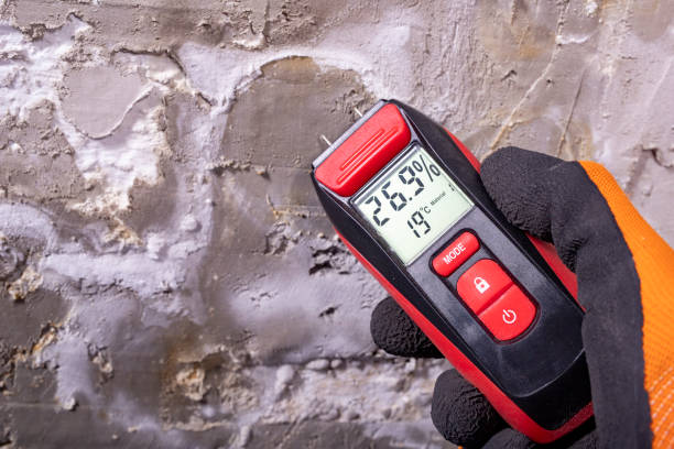 Best Affordable Mold Removal  in Farmville, NC