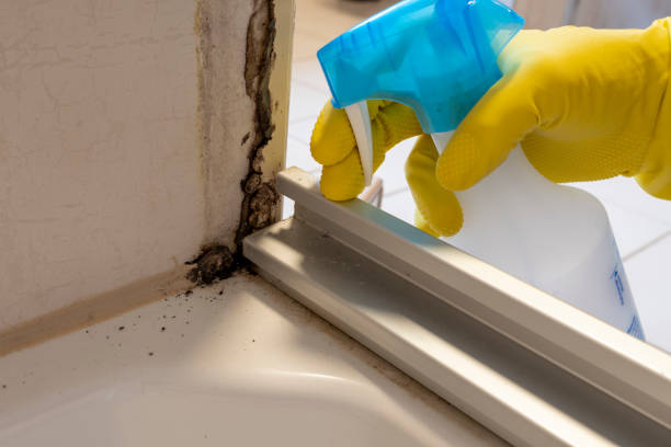Best Certified Mold Removal  in Farmville, NC