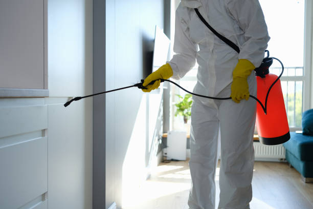 Best Home Mold Removal  in Farmville, NC