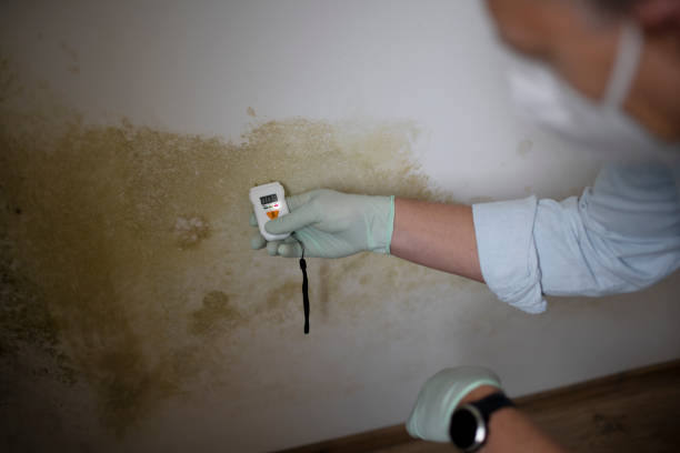 Best Crawl Space Mold Removal  in Farmville, NC