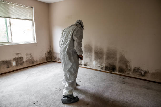 Best Crawl Space Mold Removal  in Farmville, NC