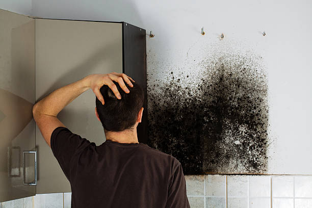 Best Commercial Mold Removal  in Farmville, NC